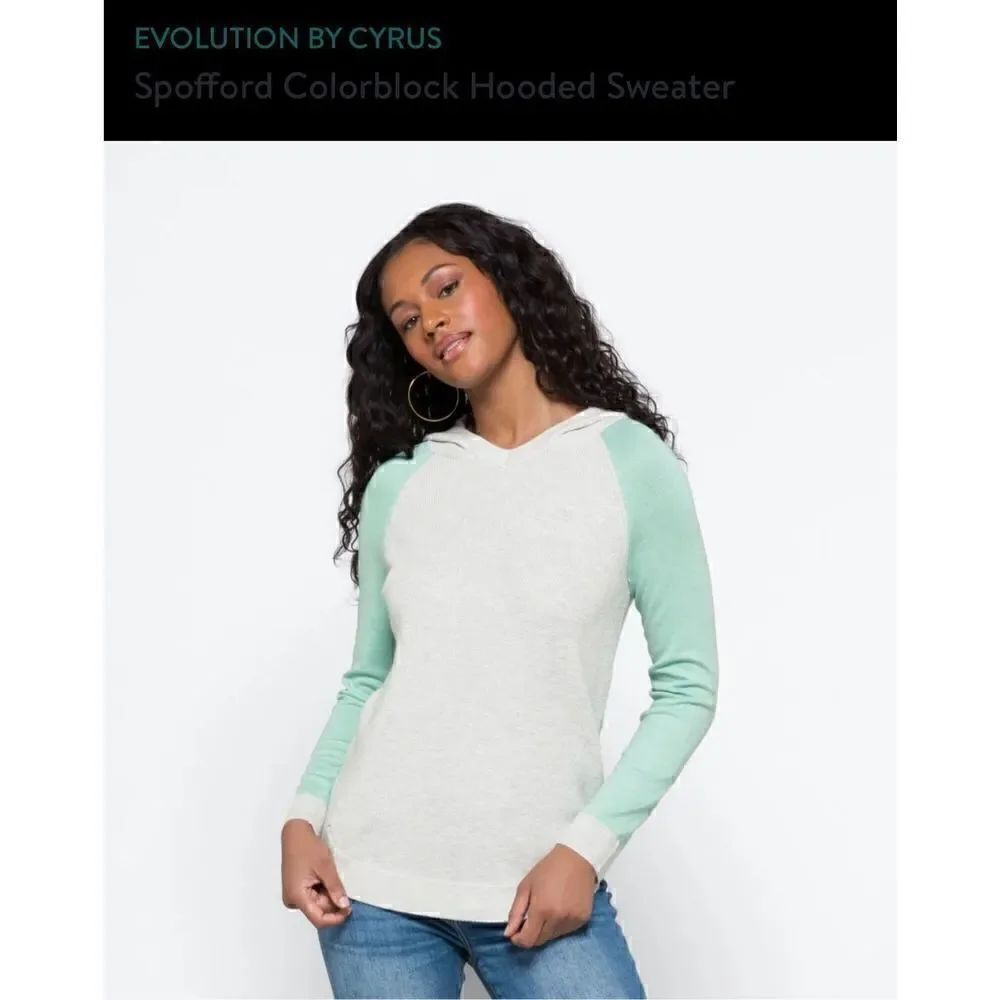 Colorblock Hoodie Sweater